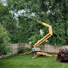 Grass Overseeding in Clinton, WI